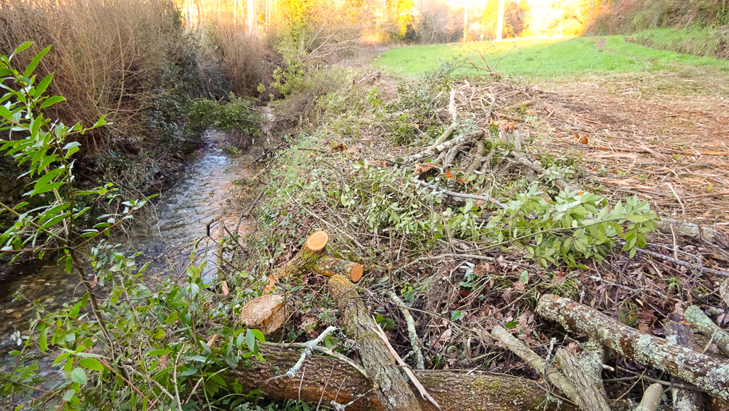 Faixas de “gestão de combustíveis”